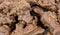 Close view of milk chocolate cornflake clusters