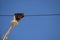 Close view of an old pulley and ropes used for fish catches and blue sky