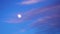 Close view on rising vertically full moon on clear blue sky during evening hiding temporarily behind long clouds. Excellent video