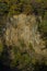 Close view on a Rock wall with autumn forest in the evening light.