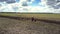 Close view tractor plows field bird flock flies over strip