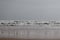 Close of water wave with reflection on marina beach, chennai, beaches of India