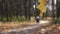 Close yellow leaf against blurry person with buggy in park