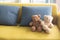 Close â€“ up teddy bear. Teddy with Pillow. They are on yellow sofa.