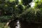 Closed biosphere in a tropical greenhouse