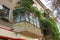 Closed brown balcony overgrown with green plants