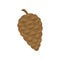 Closed brown fir cone. Vector illustration on white background.
