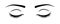 Closed eyes with eyelashes. Eyelash illustration vector