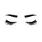 Closed eyes with eyelashes. Women eyes simple illustration. black white . eyelashes, eyebrows, eye sketch, black and