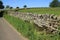 Closed fence and a large dry stone wall in the summer.