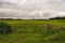 Closed iron gate in front of a peat meadow area