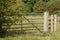 Closed metal 7 bar gate across meadow with long grass