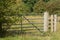 Closed metal 7 bar gate across meadow with long grass and summer flowers