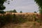 closed metal gate in hedgerow in english countryside