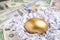 Closed up of golden egg in financial report shred paper with pile of US dollars banknotes using as lucky egg or valuable stock or