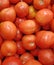 Closed up of Heap of Vibrant Red Ripe Organic Tomatoes