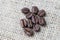 Closed up of roasted coffee beans on gunny bag background, selecting best aroma quality for business drink and beverage concept