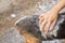 Closed up and selective focus of bathing beagle dog outdoor in the house with people`s hands rubbing with foam on dog`s body and