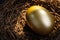 Closed up of shiny golden egg in nest with golden natural sun shine light metaphor of financial prosperity, precious return