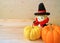 Closed Up Vibrant Orange Color and Yellow Ripe Pumpkin with Adorable Lion Soft Toy in Wizard Costume on Wooden Background