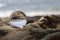 Closed up view of lens ball on the beach