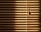 Closed venetian blinds background