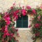 Closed window and bougainvillea