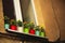 Closed window with colorful plant pots on windowsill