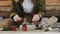 Closedup of woman`s hands gardener pours the soil with a shovel into a new ceramic pot for transplanting houseplant on