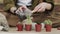 Closedup of woman`s hands gardener pours the soil with a shovel into a new ceramic pot for transplanting houseplant on