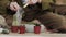 Closedup of woman`s hands gardener pours the soil with a shovel into a new ceramic pot for transplanting houseplant on