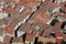 Closely packed roofs in Cefalu old town
