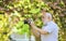 closer look. traveler camera man under sakura bloom. travel concept. male photographer enjoy cherry blossom. travel and