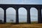 Closer view of the Ribblehead Viaduct with trees between the arches