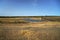 Closesmall pond in the deserted area