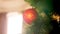 Closeup 4k video of red bauble hanging on Christmas tree against big window in living room