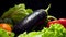 Closeup 4k video of sprinkling water on ripe eggplant lying on lettuce leaves. Water droplets falling on fresh