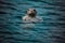 Closeup of an adorable seal swimming in the wavy blue water