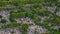 Closeup aerial view of Montparnasse Cemetery, second-largest cemetery in Paris, France, with large number of tombstones.