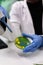 Closeup of african american biologist scientist dropping liquid using medical micropipette