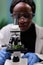 Closeup of african american botanist researcher analyzing green leaf sample