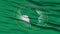 Closeup African Union Flag