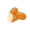 Closeup Almond vector icon. Healthy eating cartoon illustration.