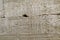 Closeup of ancient carvings of pharaohs, Egyptian gods and hieroglyphics on walls of temple