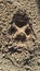 Closeup of animal foot print in sand
