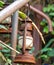 Closeup of antique-style oil lamp, a rustic look, warm light