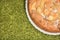 Closeup Apple pie with raisins on green fir tree or spruce needles background