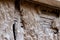 Closeup for arabian rusty Eroded wooden door