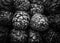 Closeup artichoke texture background in black and white