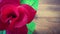 Closeup Artificial red rose flower